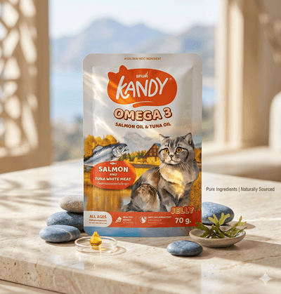 Kandy Omega 3 Salmon & Tuna White Meat in Jelly 70g – All Ages_img_0