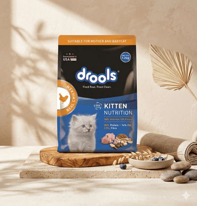 Drools Kitten Nutrition Dry Cat Food (Mother & Baby Cat) - 1.2 kg_img_0