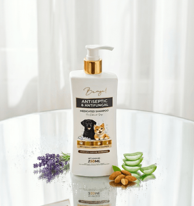 Bengal Antiseptic & Antifungal Medicated Pet Shampoo - 250ml_img_0